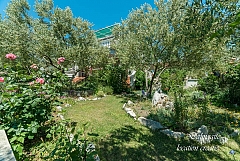 Milena : 2 appartements + 1 chambre