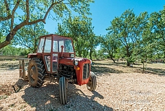 Camping à la ferme en Croatie