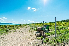 Ecolodge entre mer et lac : 4 pers.