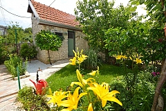 Slavica : villa with swimming pool