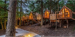 Glamping à Bled 