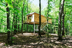 2 Cabanes dans les bois