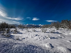 2 Cabanes dans les bois