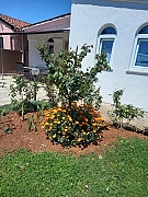Dragica n* 2 : une maison 4 pers. 