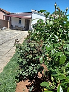 Dragica n* 2 : une maison 4 pers. 
