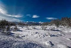 2 Cabanes dans les bois
