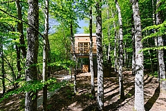 2 Cabanes dans les bois
