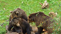 Ivan près de Plitvice