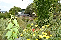 Neno : 2 appartements