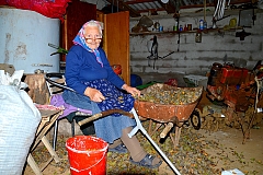 Camping à la ferme en Croatie