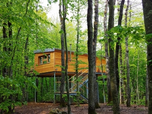 location 2 Cabanes dans les bois